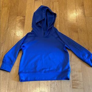 Patagonia Kids Royal Blue Hooded Pullover